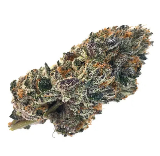 Gelato Cake (Hybrid)