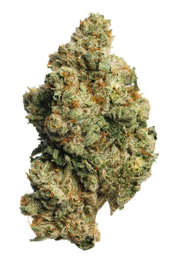 Ghost OG (Indica)