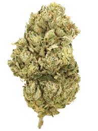 GG #4 (Hybrid)