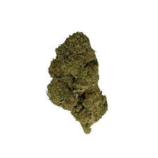 GMO (indica)