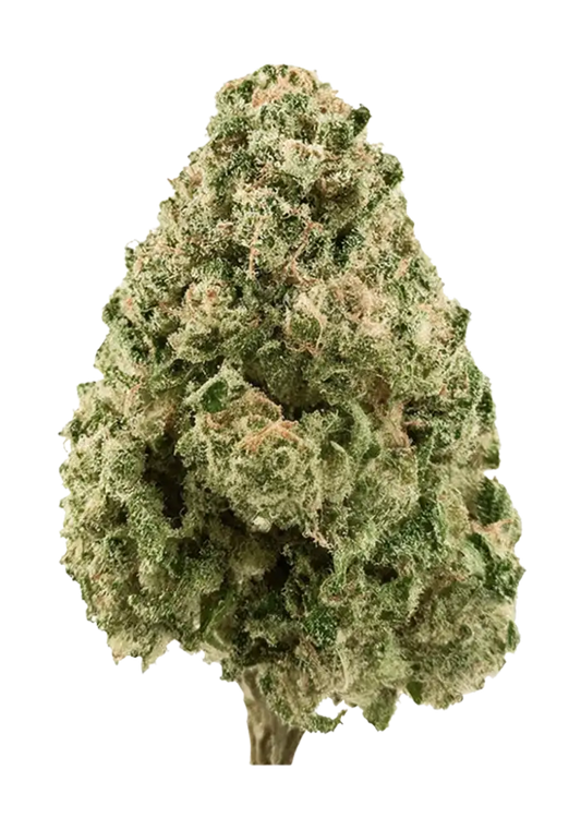 GSC (hybrid)