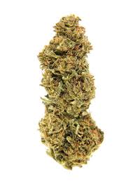 Haze Herer (Sativa)