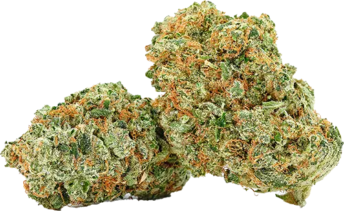 Heavy Hitter OG (indica)