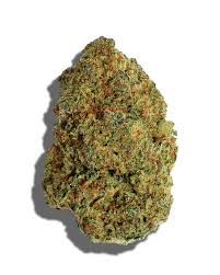 Hiroshima OG (Indica)