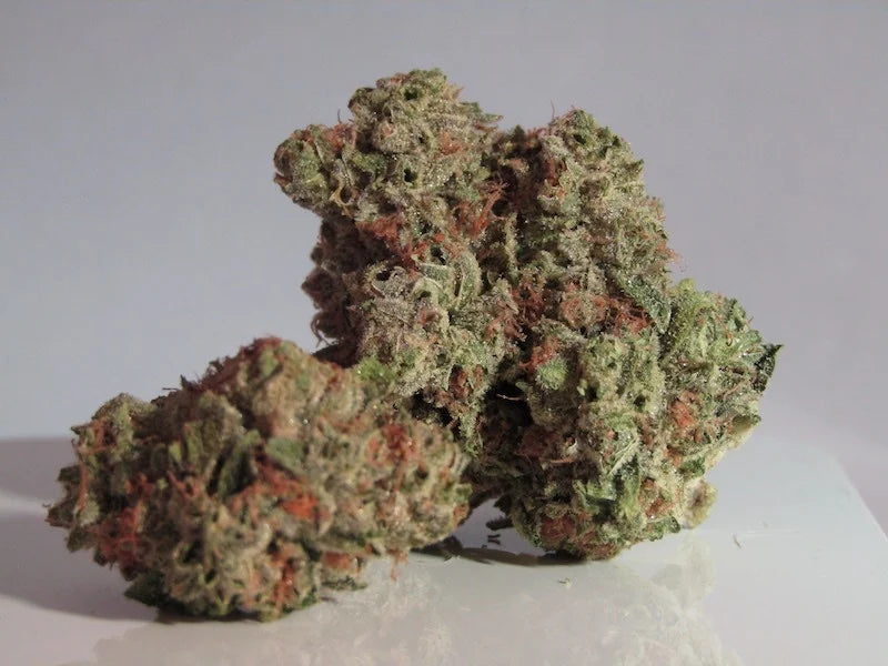 BANANA HAZE (sativa)