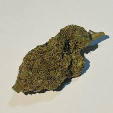 Gelato 33 (Hybrid)