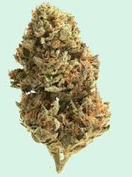 Plat. Puff (indica)