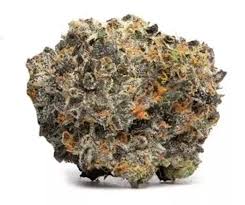 Italian Ice (Hybrid)
