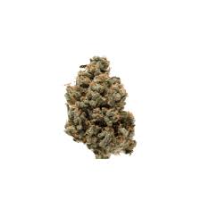 Jack's Revenge (Sativa)