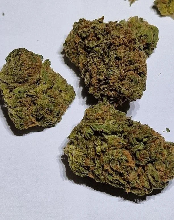 Lemon Diesel (Hybrid)