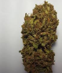 Lemon Haze (Sativa)