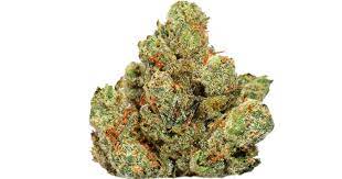 Marathon OG (Indica)