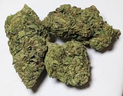 EYE CANDY (indica)