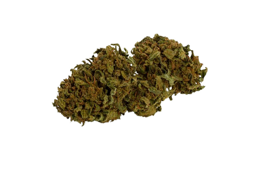 Skunk 1 (Hybrid)