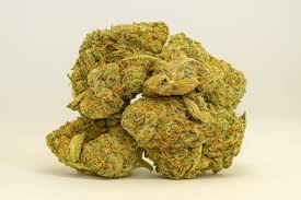 Peanut Butter Breath (Hybrid)