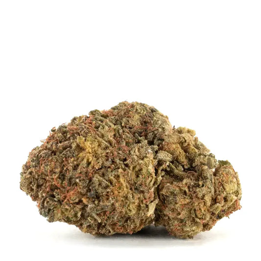 Pennywise (indica)