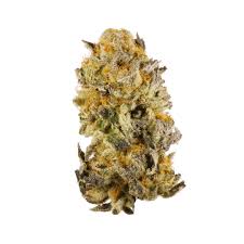 PLATNIUM MONSTER COOKEIS (indica) SALE