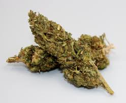 Pluto OG (Indica)