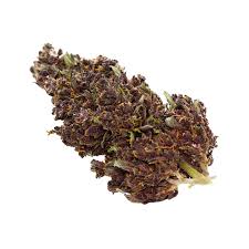 Purple Haze (Sativa)