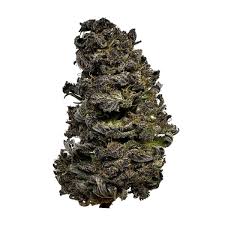 Purple Venom (Indica)