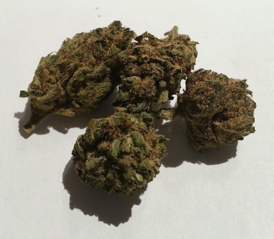 TROPICAL RED (sativa)