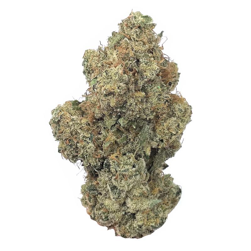 Sangria  (Sativa)