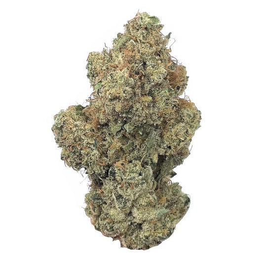 Sangria  (Sativa)