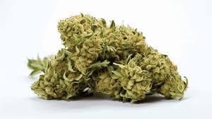 SFV OG (ndica)