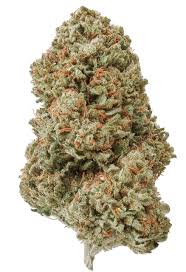 Skywalker (Indica)