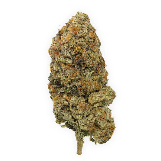 Slurricane (sativa)