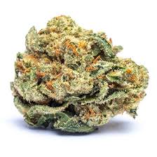 Snoop Dogg OG (Indica)