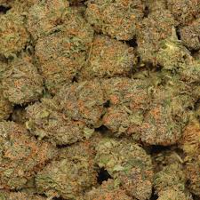 Space Runtz (Hybrid)