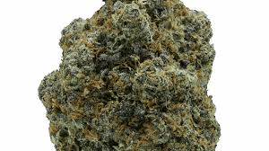 Space Walker (Hybrid)