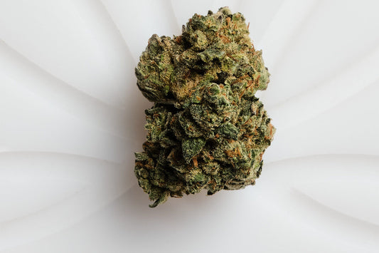 Strawberry Zkillato (hybrid)