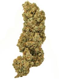 Super Silver Haze (Sativa)