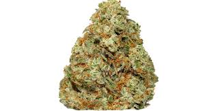 Blem Unruly OG (Indica)