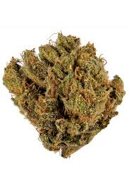 White Venom OG (Indica)