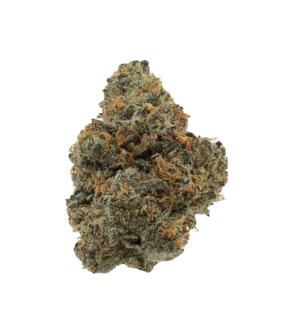 XJ13 (Hybrid)