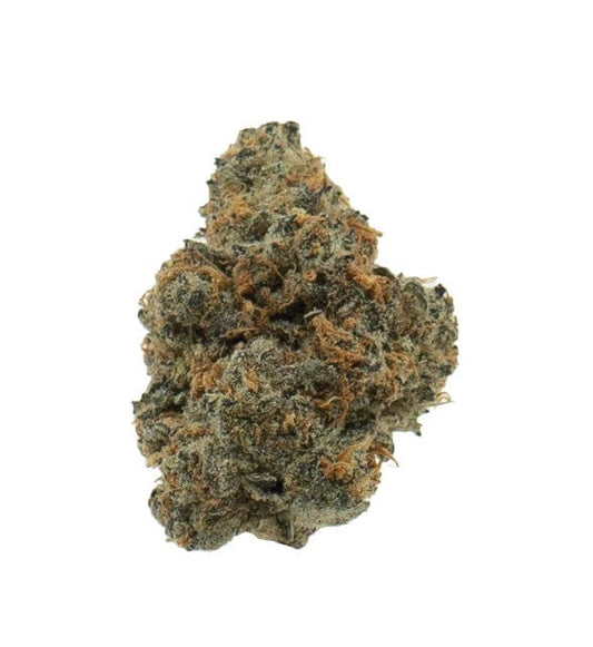 XJ13 (Hybrid)